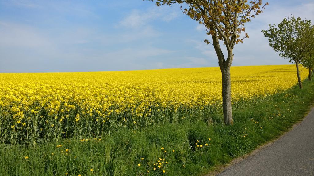 Thomsdorf  Ferien An Der Ostsee מראה חיצוני תמונה
